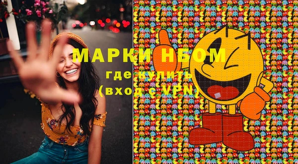 PSILOCYBIN Алагир