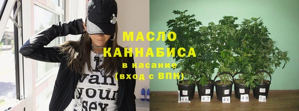 эйфоретик Арсеньев