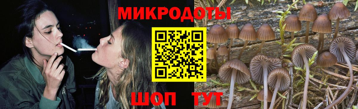 Галлюциногенные грибы Psilocybine cubensis  Вход с VPN  Вичуга  Галлюциногенные грибы мицелий 