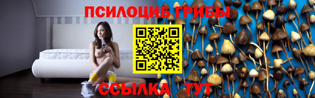 Псилоцибиновые грибы прущие грибы Вичуга