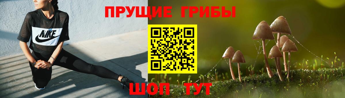 Галлюциногенные грибы MAGIC MUSHROOMS Вичуга